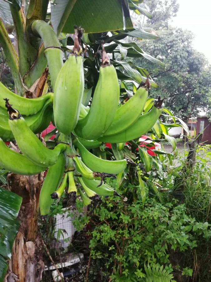 Monteverde Ecolove Bagian luar foto